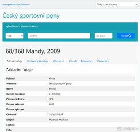 TOP sportovní pony klisna kat. A - 135cm výkonnost STP - 9