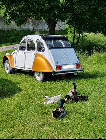 2cv kachna - 9